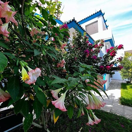 Sicci Villa Near The Airport & Sea Atenas Exterior foto